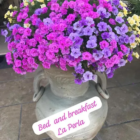 La Perla Bed & Breakfast Racale